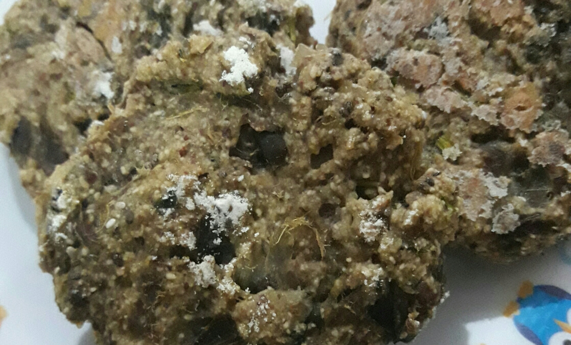 Hambúrguer de berinjela