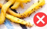 Com quantos anos você descobriu que juntar esses dois ingredientes afastam baratas e formigas?