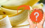 Uma fruta dessa pequena tem quase a mesma quantidade de potássio que uma banana inteira