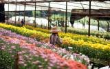 8 cidades floridas no Brasil para conhecer na primavera: é uma mais bonita do que a outra!