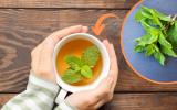 Chá de hortelã: os benefícios e malefícios dessa poderosa bebida, como fazer a infusão e quanto consumir por dia