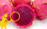 Esse benefício secreto da pitaya (que poucos sabem!) é muito bom pra saúde