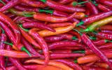 5 alimentos que te deixam mais feliz