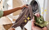 Por que as pessoas estão colocando uma folha de louro na máquina de lavar roupa?
