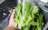 Truques para a salada durar mais na geladeira