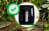 3 passos simples para desidratar ervas na airfryer (se guardar direitinho dura até 6 meses!)