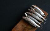 Estas são as sete espécies de peixes que não contêm mercúrio (e também são baratos)