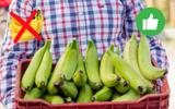 Banana verde: quais os benefícios de comer uma fruta por dia e por que ingerir quando ainda não está madura