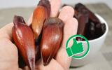 É temporada de pinhão! Esses são os benefícios de consumir a quantidade certa do alimento típico do outono