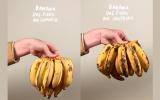 Com quantos anos você descobriu que você tem que manter a banana pendurada em casa?
