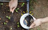 Afinal, a borra do café é ou não um adubo para as suas plantas? Esse jardineiro tem a resposta definitiva