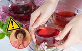 Tomar chá de hibisco todos os dias faz mal? Entenda efeitos da bebida no corpo