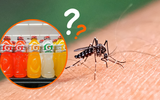 Quem está com dengue pode tomar Gatorade? Saiba o que não comer quando está com sintomas