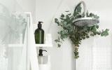 Essa planta não precisa de água nunca, não é artificial e ainda perfuma seu banheiro