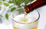 Como a cerveja é feita: confira