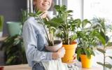 Plantas e saúde mental? Veja 5 opções terapêuticas para cultivar em casa