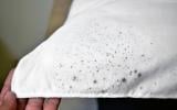 Como tirar a mancha de mofo das roupas: 4 truques simples e caseiros
