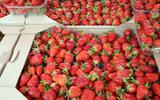Nem geladeira, nem fruteira: esse é o lugar ideal para armazenar morangos para que a fruta não apodreça