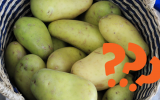 Pode comer batata que brotou? E esverdeada? Vem que o TudoGostoso conta se elas fazem mal à saúde!