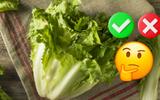 Descubra os benefícios e malefícios da escarola e qual é a melhor forma de comer o vegetal para aproveitar bem seus nutrientes