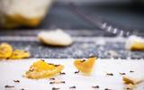 O segredo para eliminar formigas está no lixo da sua cozinha: aprenda esse truque simples e eficaz