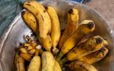 Tem problema comer banana madura demais? TudoGostoso tira dúvida e conta se é melhor amarela ou verde