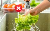 Não é só lavar em água corrente: aprenda de uma vez por todas como higienizar vegetais do jeito certo!