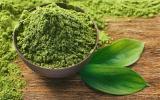 Matcha: confira os benefícios dessa planta