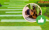 Por que os jardineiros estão polvilhando canela em pó nos gramados?