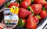 Como fazer para o morango durar mais de 7 dias na geladeira? Truque está no armazenamento!