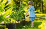 Esses são os melhores truques de jardineiros para evitar a queda prematura das folhas em suas plantas