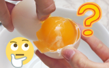 O que é isso no meu ovo? Entenda se gosminha branca tem relação com salmonela ou validade do alimento