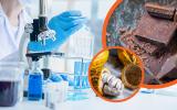 O que os cientistas estão tramando para evitar o fim do chocolate?