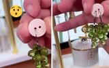 Se você tem botões em casa, você tem um tesouro para organizar os seus brincos por pares