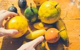 Conheça os 5 tipos de maracujá e suas características