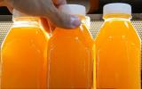 É verdade que o suco de laranja vai sumir dos mercados? TudoGostoso explica o que está acontecendo com a fruta