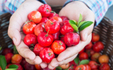 Como cultivar acerola em casa? Essa árvore frutífera pode ser plantada em um vaso!