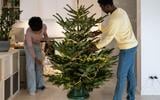 A sua decoração natalina com LED nunca dá certo? Veja como escolher o cordão de LED certo para a sua árvore de Natal com dicas de uma especialista