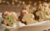 Biscoitos de gengibre