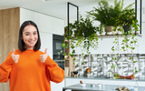 7 plantas de interior que quase ninguém lembra e renovam a energia da cozinha: são elegantes e decorativas