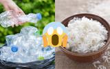 Arroz na garrafa pet? É prático mas perigoso! Descubra os problemas da receita