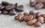 Tipos de grão de café: conheça as diferenças entre arábica e robusta