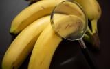 O que ninguém te contou sobre as bananas: segredo é revelado por biólogo