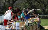 MasterChef 2022: banquetes com milho e mandioca impressionam chefs e convidados na festa junina do programa