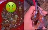 Toque extra de proteína no molho de tomate: homem encontra “bicho” dentro de embalagem de marca conhecida!