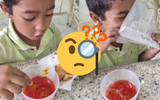 Criança pode comer pimenta? Vídeo de menino provando o ingrediente viraliza no Tiktok, mas surge a dúvida e TudoGostoso responde!