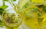Chá verde: os benefícios e malefícios dessa bebida muito além do emagrecimento; veja como fazer e o melhor horário para consumir