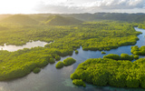 Dia da Amazônia tem festivais em 8 cidades: confira atrações e maravilhas da região