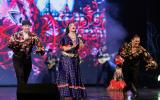 22ª Festa Cigana em Guarujá reúne dança, música e outras manifestações culturais