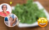 O vegetal milagroso repleto de colágeno que ajuda a memória e fortalece os ossos